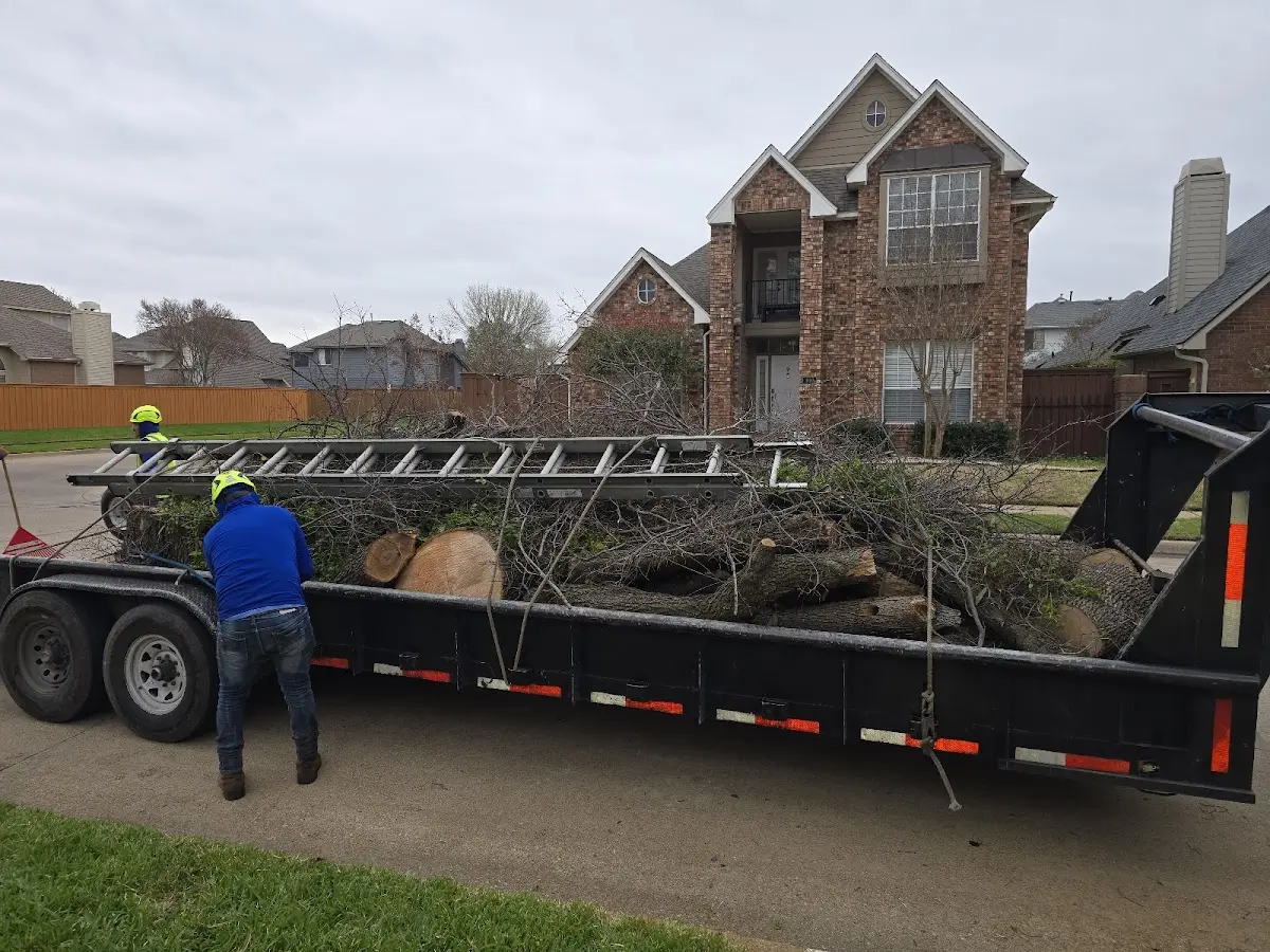 Expert Tree Fertilization with proper safety equipment in Algonac